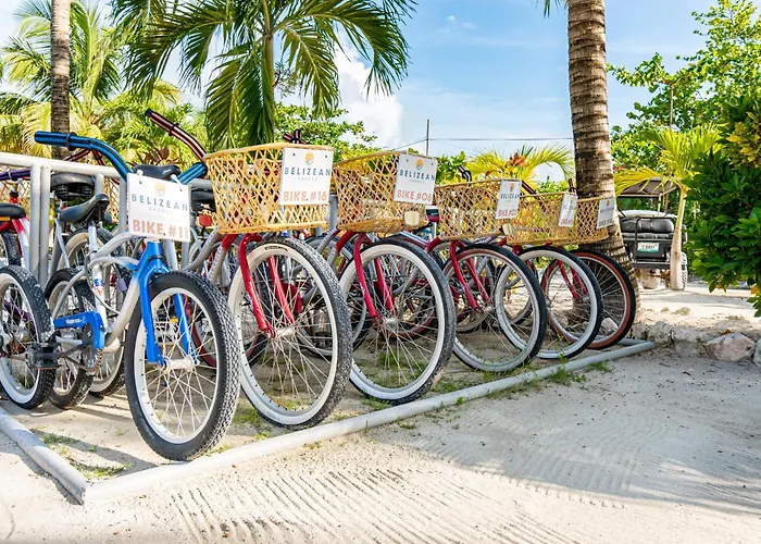 Belizean Shores